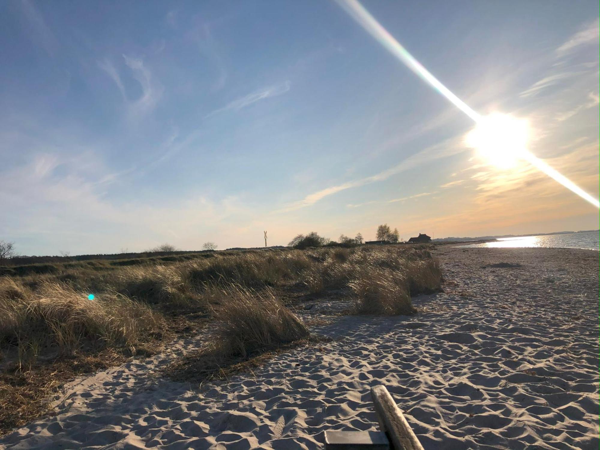 Neue Ferienwohnung An Der Ostsee,Terrasse,Sauna Surendorf Kültér fotó