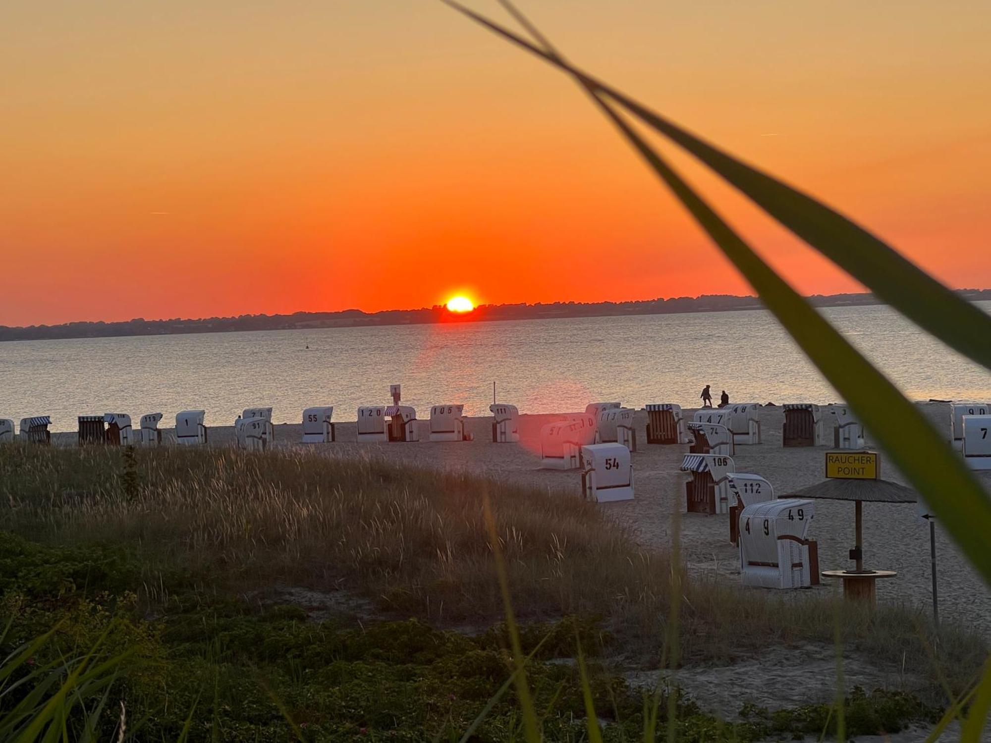 Neue Ferienwohnung An Der Ostsee,Terrasse,Sauna Surendorf Kültér fotó